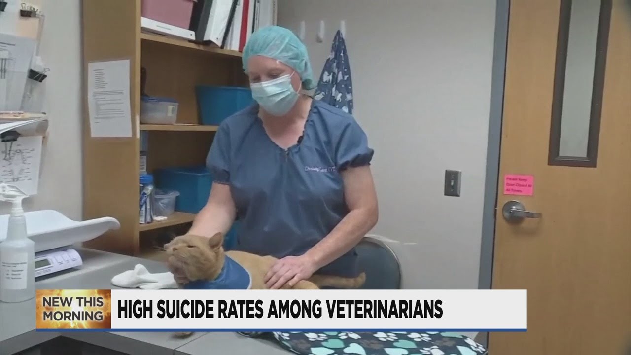 Study shows high suicide rates among veterinarians
