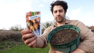 How To Grow Carrots In A Container | The Perfect Project For Any Size Garden