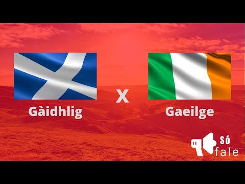 Vídeo: Diferença Entre Irlandês E Gaélico