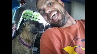 Abolitionist Abstractions Vlog 28: Hitting the road!