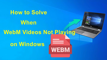 🛠️ How to Solve When WebM Videos Not Playing on Windows | 3 Ways?