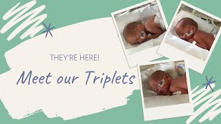 Meet Our Triplets | Name and Gender Reveal