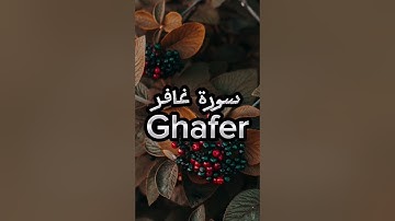 سورة غافر | ياسر الدوسري تلاوة خاشعة القرآن الكريم Quran #مصحف #تلاوة #قناة_اليوتيوب #Mus7aff