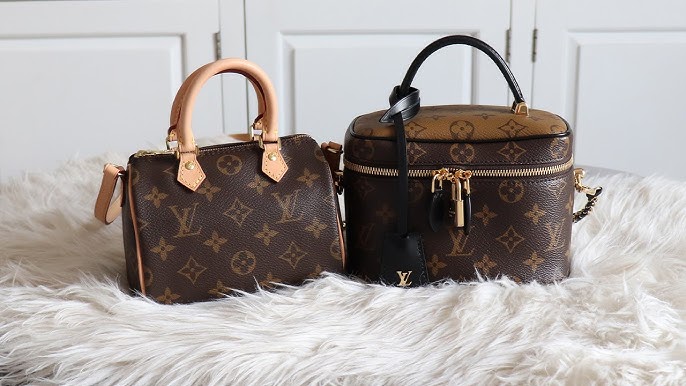Louis Vuitton VANITY PM-Pro's & Con's-What Fits, Review and