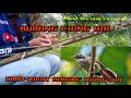 Cara Mikat Burung Ciung Air Media Lem Dan Pelepah Sawit Mp3 - Mp4 Download