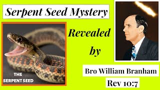 SERPENT SEED MYSTERY REVEALED BY BRO WILLIAM MARRION BRANHAM - REV 10:7   17-06-2022