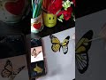 Butterfly art painting drawing  art artist artwork