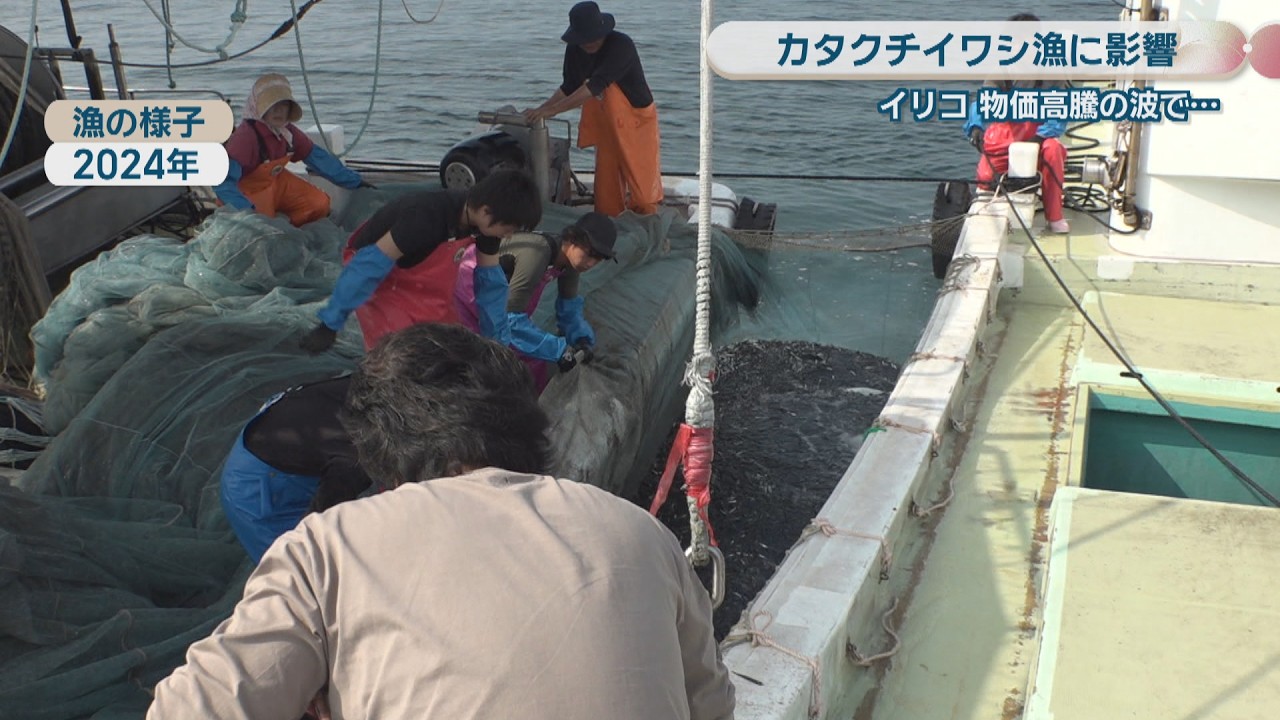 伊吹島でカタクチイワシ漁が解禁 重油高騰で早めに漁をきりあげる網元 