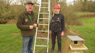 How to erect a Barn Owl nest box in a tree