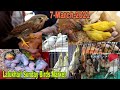 Lalukhet Sunday Birds Market Karachi 7-March-2021 Latest Updates Urdu/Hindi ...