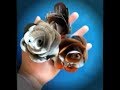 How to make easy roses from waste magazine paper  tutorial