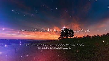 الشيخ حمد دغريري  سورة الرعد - الآية [8 - 17]  تلاوات خاشعة