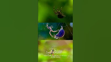 سبحان الله، سورة العنكبوت، تلاوة خاشعة
