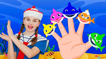 Baby Shark | Finger Family - Learns Colors & More Children