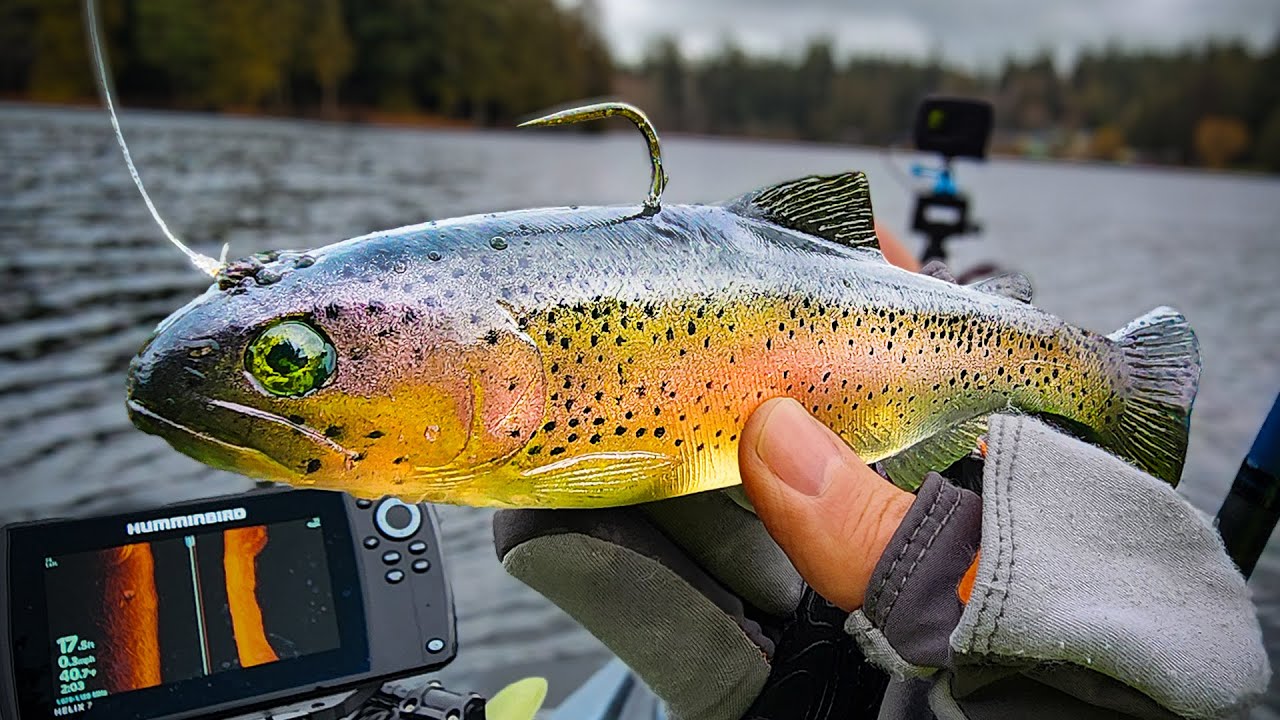 Can This Crazy Swimbait Catch Me a Giant Winter Bass?