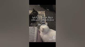 #سورة_الفرقان #قرآن #قران_كريم #quran #quranismylife #explore #اكسبلور #quranexplorer #quran