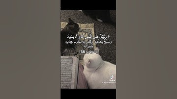 #سورة_الفرقان #قرآن #قران_كريم #quran #quranismylife #explore #اكسبلور #quranexplorer #quran