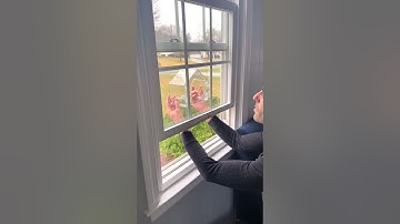 I Got a Window Bird Feeder for my Cats!