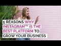 Why Instagram is the BEST platform to grow your business in 2018 | Elise Darma
