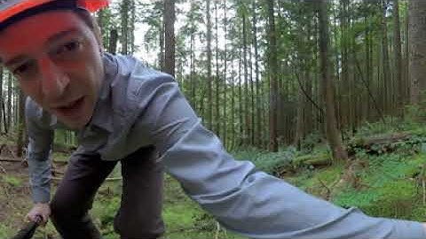 Soil Pit 2 - Observing Plants in the Area (360° Video)