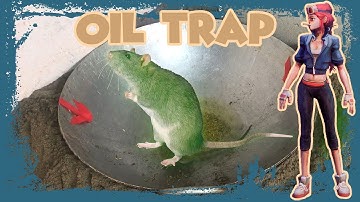 How to Catch a Mouse / Homemade Mousetrap / Mousetrap Mondays