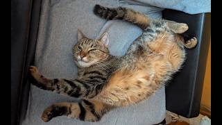 CSCSCSCSCSCSCSCSCSCSCSCSCSCSCSCSCSCSCSCSCSCSCSCSCSCSCSCSCSCSCSCSCSCSCSCSCSCSCSCSCSCSCSCSCSCSCSCSCSCS