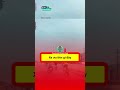 Như xe ưu tiên ấy nhỉ #HocTuTinhHuong #Obala #OnBangLai