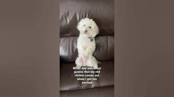 Sorry Buddy