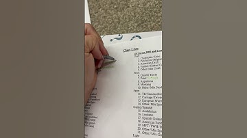 How to show model horses step-by-step PART 3! #breyerhorses #horses #modelhorse #modelhorses