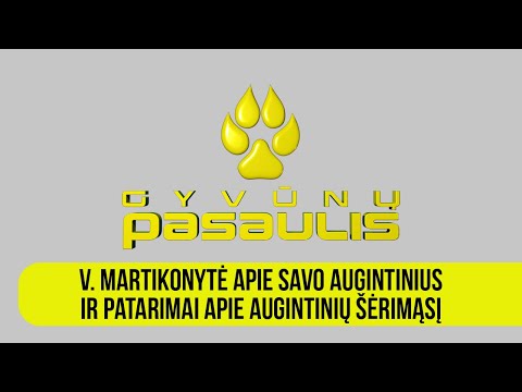 Video: Kaip keliauti tarptautiniu mastu su savo augintiniu