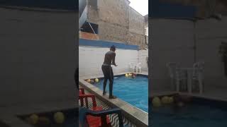 Dando Pulo De Ponta Na Piscina