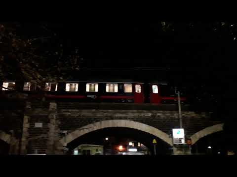Treno in transito sugli archi della marina