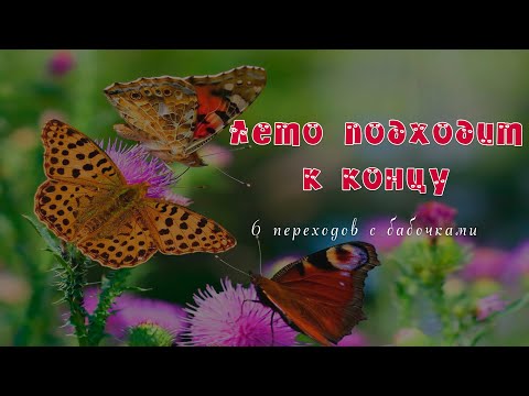 Последние дни лета Скоро осень. А у меня для вас 6 новых переходов с бабочками.