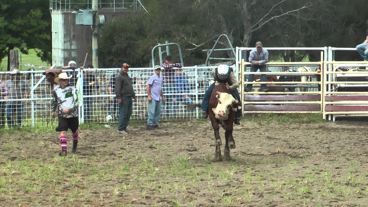 Brad Scott's Bull Riding Clinic 12 & 13 Dec 2015