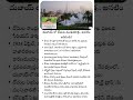 ఎడారి దేశాన్ని భయపెడుతున్న చిన్న జీవి! 🦟#ytshorts #news
