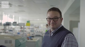 International Cardiff: Professor Mike Bruford (Wales)