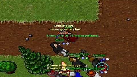 Tibia Aurea Loat Goan