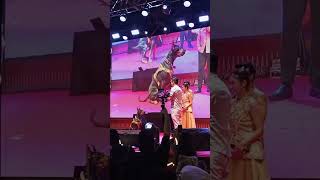 Pekingsai Atraksi Pitbull Harmoni Imlek Nusantara #imlek #capgomeh #k91 #citrabhayangkara #shorts