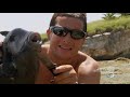 Bear Grylls Eats _ Man Vs Wild Season 4_ Eating Compilation (1080P_HD)