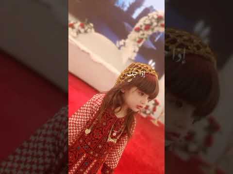 الهيبة هيبة اميرة 