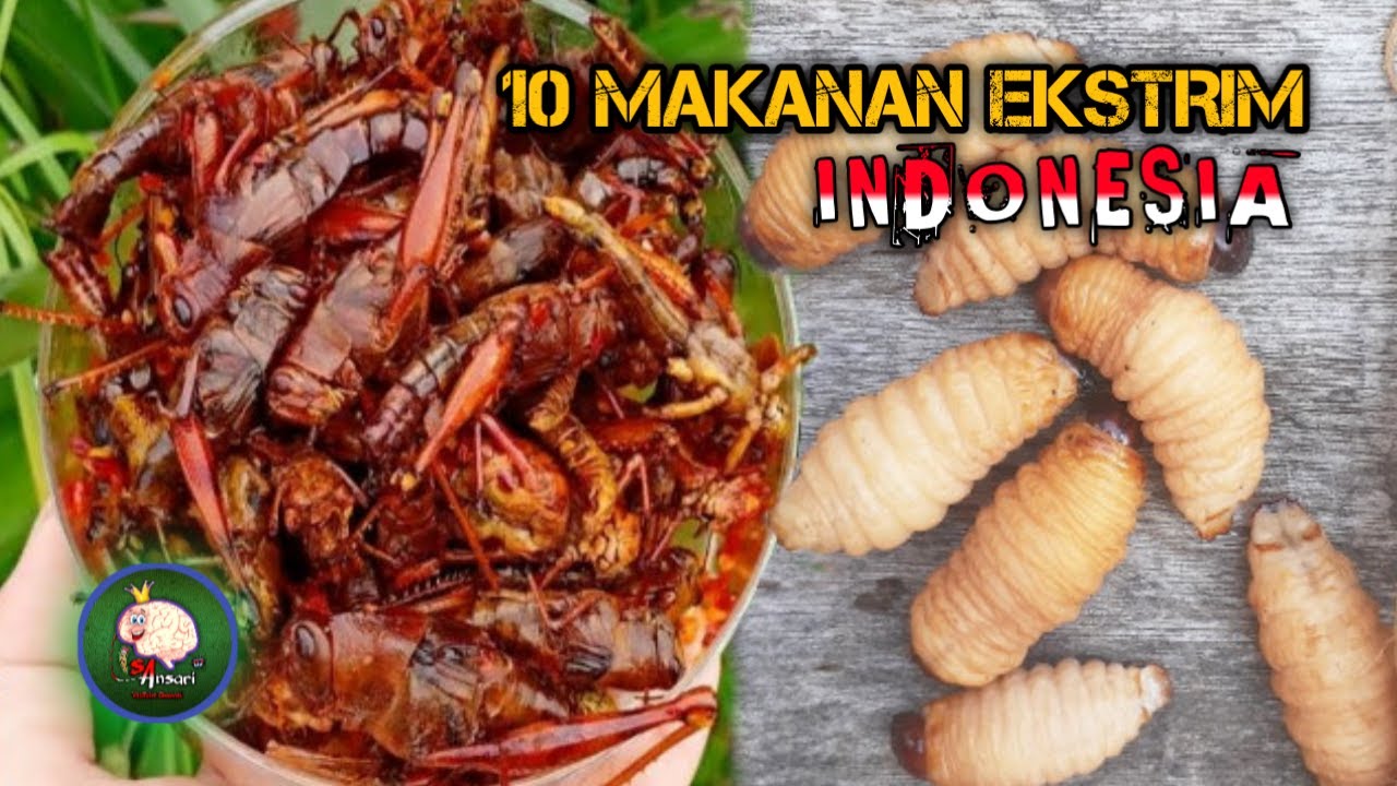 10 MAKANAN EKSTRIM  DI INDONESIA YouTube