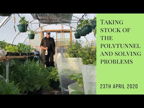 Video: Pajūrio sodo problemos – kaip spręsti pajūrio sodininkystės problemas