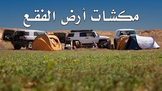 ربيع عرعر / الجزء الأول