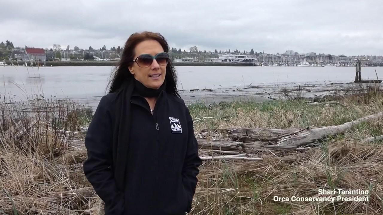 Jetty Island Beach Cleanup with Cascade High School