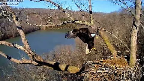 DHEC Peep, Peep 2018 03 02