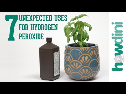 7 Unexpected Hydrogen Peroxide Uses | Howdini Hacks