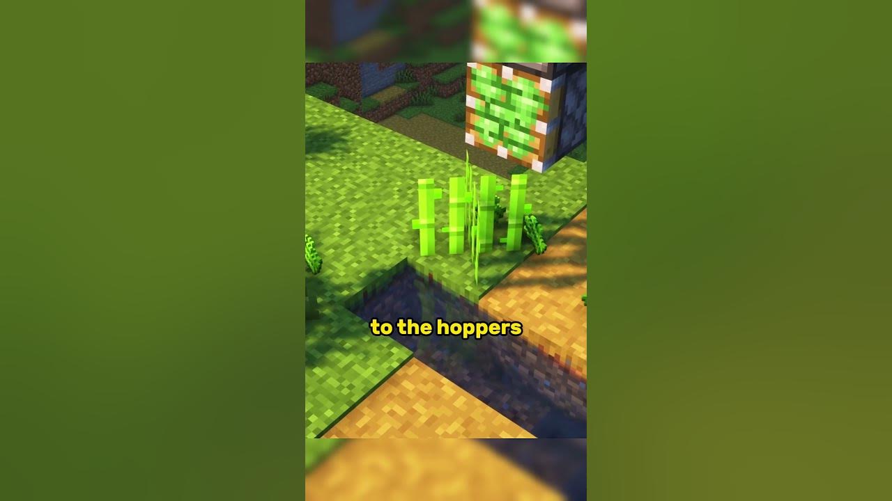 Why Mud Is Better Than DIRT YouTube why-mud-is-better-than-dirt-youtube