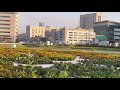 Holiday Inn Express Dubai - Jumeirah отель в Дубае