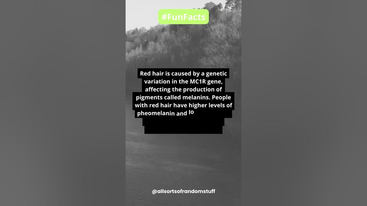 Why do some people have red hair? #funfacts #facts #shorts - YouTube