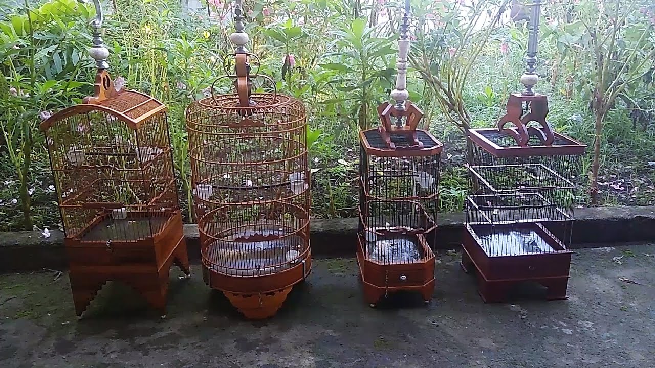 4 MODEL  SANGKAR  UNIK BURUNG  PLECI DAN RAMBATAN YouTube